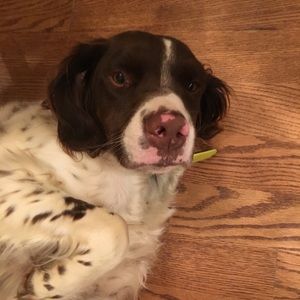 Meet your Posher, Heather